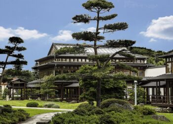 Mutual Fund Investing Made Easy: A Beginner’s Guide to Building Wealth